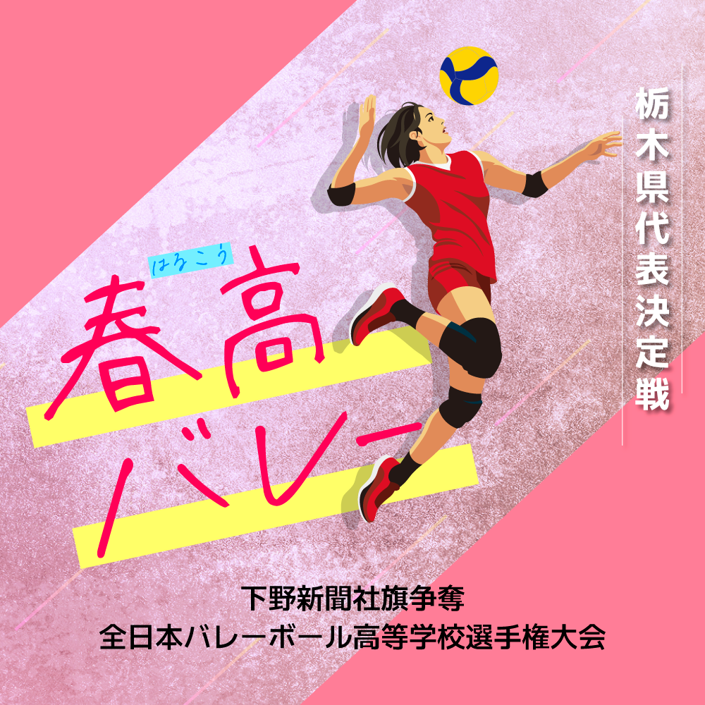 全日本バレーボール高等学校選手権大会栃木県代表決定戦