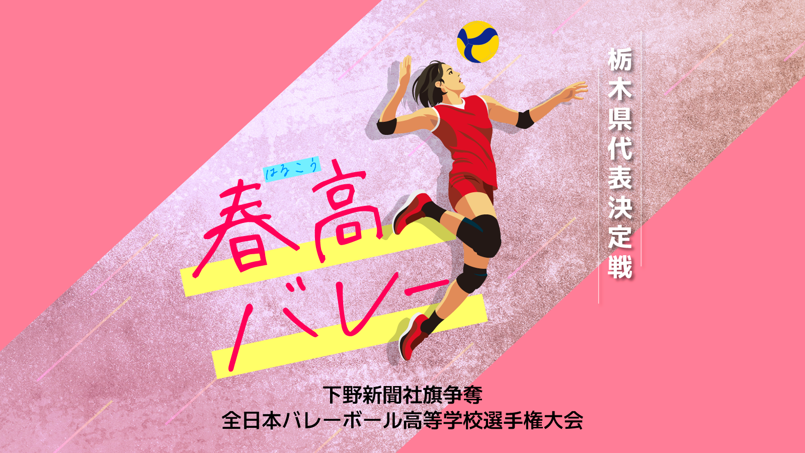 春高バレー栃木県最終予選　セットスコア入り全試合速報《11月3日》