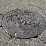 他県のマンホールがなぜ？　農業排水施設向け、応急で仮置きのままか