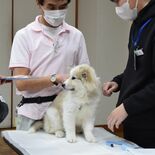「飼いきれない」、相談寄せられる　譲渡犬引き取り慎重に　県動物愛護指導…
