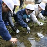 きれいに飛ぶ姿願って　小山の中小児童がホタルの幼虫放流　ビオトープと巴…