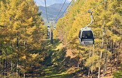 【夕刊】ゴンドラから紅葉堪能