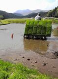 ＜70＞がんばろう！とちぎの農畜産業　大震災、原発事故の風評被害に負けるな！  