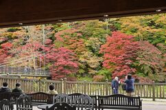「紅の吊橋」紅葉見頃　那須塩原