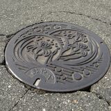 他県のマンホールがなぜ？　農業排水施設向け、応急で仮置きのままか