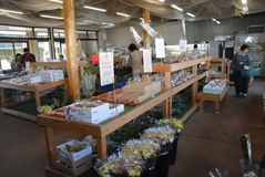 ふれあいの里しおや農産物直売所　ＪＡしおのや　特産・菊と新鮮野菜　魅力