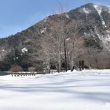 一夜で銀世界に　奥日光で積雪