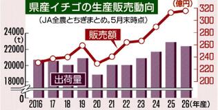 イチゴ販売額 最高更新