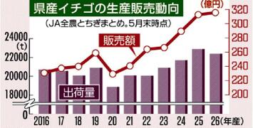 イチゴ販売額 最高更新
