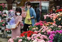 「母の日」前に生花店盛況