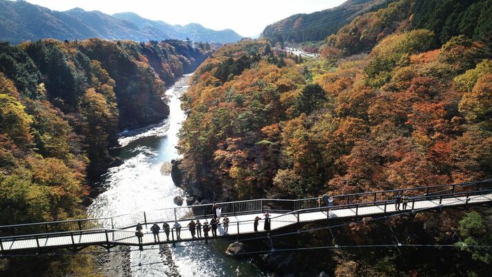 鬼怒楯岩大吊橋で渓谷美と紅葉を楽しむ人たち＝10日午前10時35分、日光市鬼怒川温泉大原、ドローンから