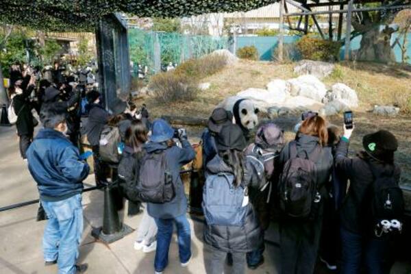 中国への返還発表後、初の来園日を迎え、ジャイアントパンダを観覧する人たち=16日午前、東京・上野動物園