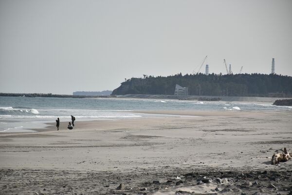福島県浪江町の海岸から東京電力福島第1原発(写真奥)を望む。原発事故は人々から故郷を奪った=11日午後、同町