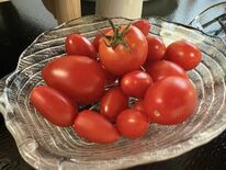 【お茶でもしながら　小説家・村崎なぎこの日常】（22）夫を看取る（全４…