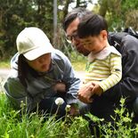 アリジゴク７匹いたよ！　春の里山、生き物いっぱい　上三川で自然観察会