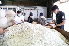 わがまちの変遷　小山の養蚕業　一大産業から伝統文化へ
