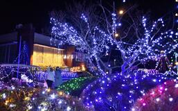 冬の里山彩る 幻想的な光