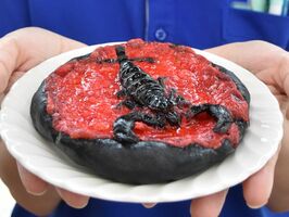 毒サソリのピザ に タガメのお菓子 の料理講座 大田原 なかがわ水遊園で記念イベント 地域の話題 県内主要 下野新聞 Soon ニュース 下野新聞 Soon スーン