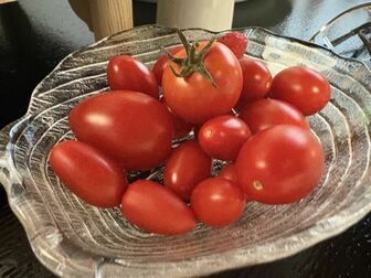 【お茶でもしながら　小説家・村崎なぎこの日常】（22）夫を看取る（全４回）　最終回　最後の言葉