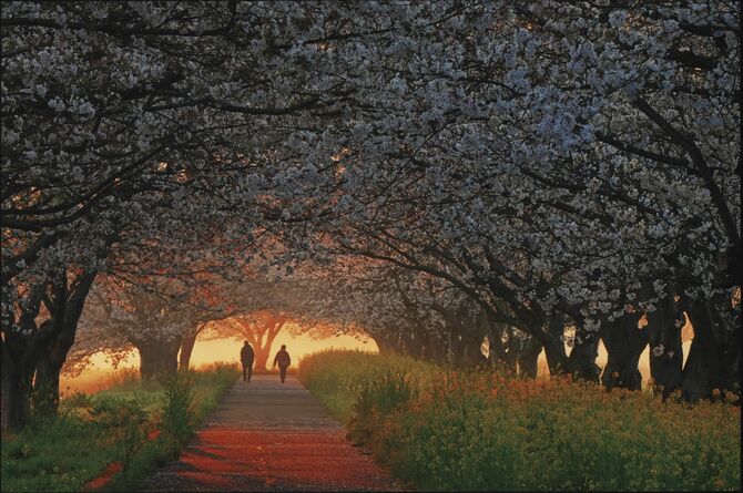 大賞に輝いた八重樫彰さんの作品「光の道を行く」