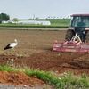 餌目当て？共同作業？　耕運機追うコウノトリ　小山の栗田さんら撮影