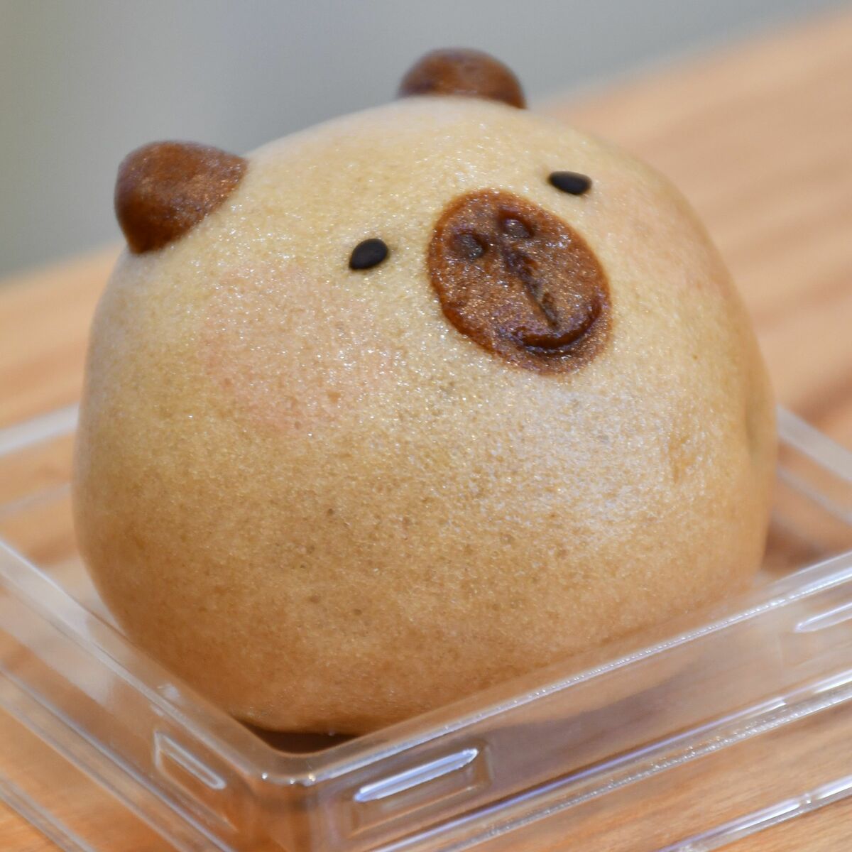 カピバラまんじゅう販売 展示記念で300個限定 大田原・なかがわ水遊園