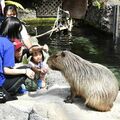 6月15日は「栃木県民の日」 記念日前に県内各地でイベント 魚やロケット、植物など家族連れら堪能