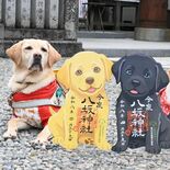 御朱印で盲導犬育成を支援 宇都宮・今泉八坂神社で頒布始まる ラブラドル…
