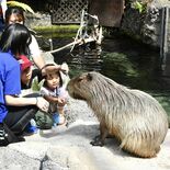 6月15日は「栃木県民の日」 記念日前に県内各地でイベント 魚やロケッ…