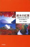 栃木の紅葉　北関東3県もみじ狩り散策ガイド