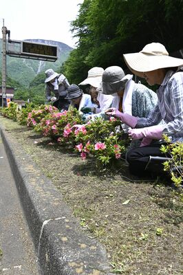 環境美化や植樹を行う鹿沼日光法人会女性部会のメンバー