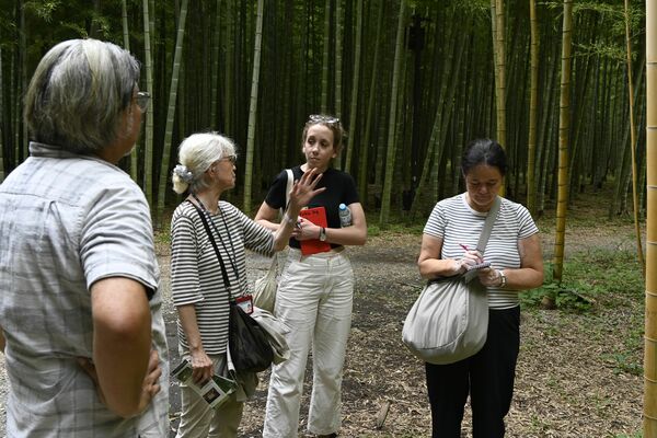 竹林を視察するＪＮＴＯ海外事務所の職員ら＝24日午後、宇都宮市