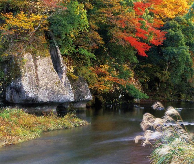 【例年の見ごろ】10月中旬~11月上旬 【住所】那珂川町大山田下郷2766