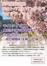 韮崎駅前広場でタカトウコヒガンザクラのライトアップを実施