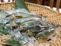 海なし県の川魚 世界へ