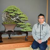 盆栽展で３度目の大臣賞　那須塩原の藤川さん、丹精の五葉松