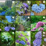 大田原の魅力、写真で再発掘　「何げない風景」今月末まで募集　観光ガイドブックなどに活用