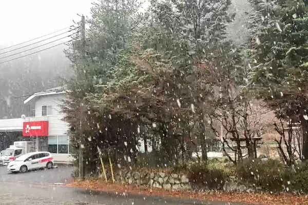 雪が降り始めた日光市内＝22日午前10時55分、日光市石屋町