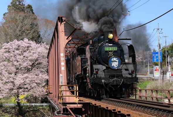特別運行でＪＲ会津若松駅まで走るＳＬ大樹（東武鉄道提供）