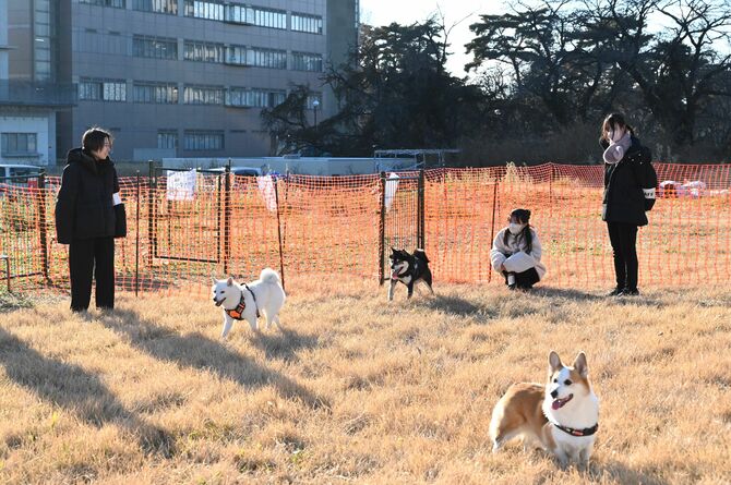 1日限定で設けられたドッグラン。地域づくりのきっかけを目指している=2024年12月中旬、宇都宮市陽東7丁目(山崎さん提供)