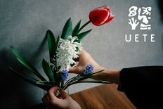家庭菜園ブランド「ＵＥＴＥ」から ガーデンニング初心者でも手軽に楽しめ…