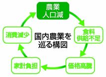 食料騒動、常態化の恐れ