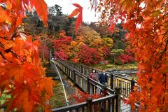 那須塩原「紅の吊橋」