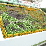 「イチゴの馬車」がお出迎え　障スポメイン会場に飾り花