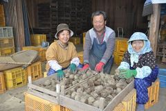 ＜89＞収穫量全国２位の特産物こんにゃく　素朴で淡泊　冬に存在感　ダイエットの強い味方   