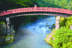夏は　早起き