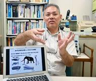化石のタンパク質を可視化