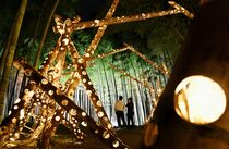 宇都宮で竹林ライトアップ