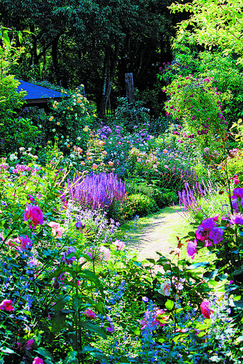 自然と文化の景観に憩う｜ASPO特集｜下野新聞デジタル