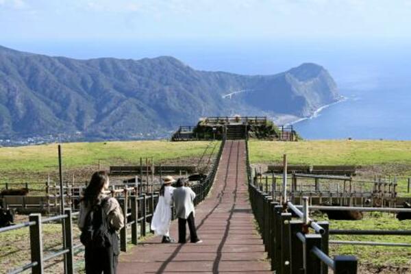 　八丈富士の中腹にある牧場からの眺め＝東京都八丈町